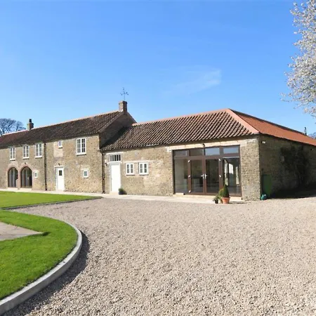 Clematis Gilling East